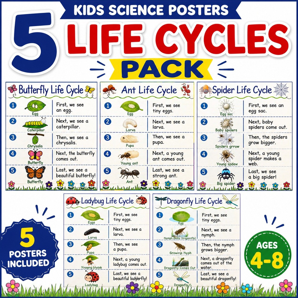Life Cycle Posters Bundle for Kids | Butterfly, Ant, Spider, Ladybug & Dragonfly 